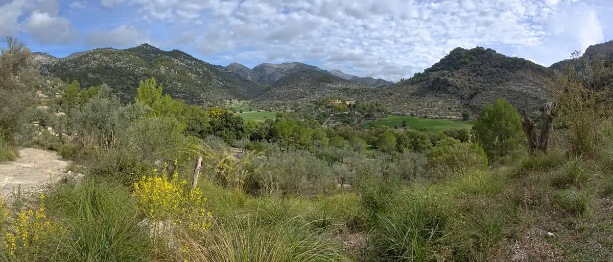 Tal bei Alaró mit der Possessió Solleric zwischen Olivenhainen, dahinter die Serra de Tramuntana